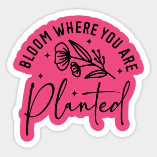 'Bloom where you are planted' Sticker